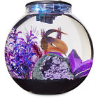 Aq30000gfpc Imagitarium Freshwater Globe Kit Gal 800443286494