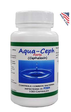 Aqua 226721474825 For Fish Aquariums And Tanks Aqua-cep 500mg/100ct Made In Usa