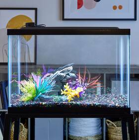 Aqua Clture 826705630294 Fish Tank Hood For 20 Gallon Aquarium Starter Kit Led Light Glass 24x12 Inches