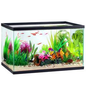 Aqua Culture 933163315992 10 Gallon Transparent Glass Tank