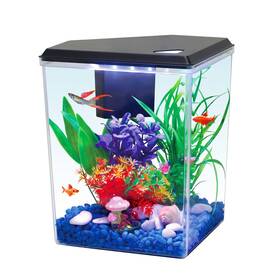 Aqua Culture Wm-2.5g Plastic 2.5 Gallon Aquarium With Accessories Home Office Fish Tank Led Light