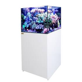 Aqua Dream 769293935955 90 Gallon White Coral Reef Aquarium Tank Ultra Clear Transpare Glass With Sump-p