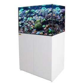 Aqua Dream 769293936006 115 Gallon White Coral Reef Aquariumtank Ultra Clear Transparent Glass With Sump