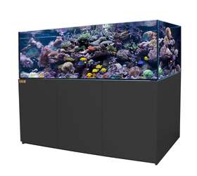 Aqua Dream 769293936051 250 Gallon Black Coral Reef Aquarium Tank Ultra Clear Transpare Glass With Sump