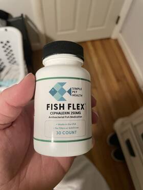 Aqua Mvs1amvs1a Fish Flex 250mg/30 Capsules