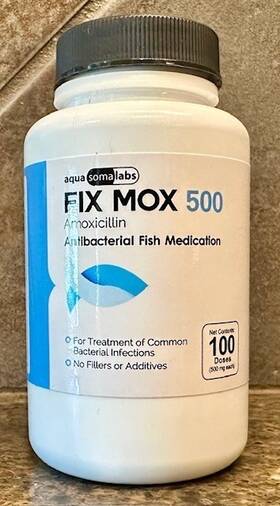 Aqua Somalabs 64575 For Fish Aquariums And Tanks Fix Amoxil 500mg/100 Ct Capsules