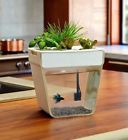 Aquafarm3-gal Fish Roots Pump -cleaning Tank