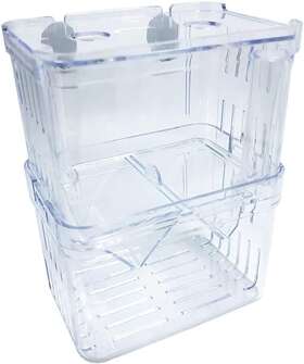 Aquamimca Pata4427 Medium Incubator Tank With Suction Cups For Breeding Baby Fish Shrimp Betta