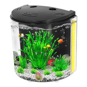 B0bqtkqjq9 Aquaneat 1.2 Gal Betta Aquarium Starter Kit Small Fish Tank With Led Light B0bqtkqjq9 Aquaneat 1.2 Gal Betta Aquarium Starter Kit Small Fish Tank With Led Light