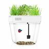 Aquarium-533835 Aquarium Supplies Water Garden Self Cleaning Fish Tank Feed Plants