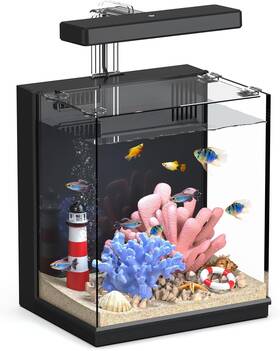 Aquasmith 445019418461 Beta Fish Tank 2 Gallon Betta Aquariums With Filter And Light For Men