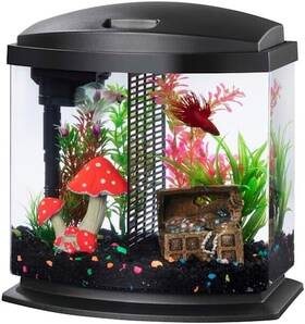 Aqueon 015905001984 00800198 Aquarium Kit Bettabow Led Blk 2.5g