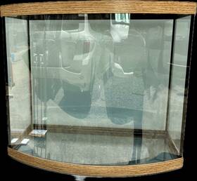 Aqueon 015905182027 Oak Bow Front Glass Aquarium 26 Gallon - Local Pick Up In Pr Only Aqueon 015905182027 Oak Bow Front Glass Aquarium 26 Gallon - Local Pick Up In Pr Only