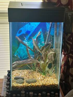 Aqueon 100531093 Aquarium Starter Kit 15 Gallon Column See Description For Extras