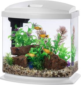 Aqueon 696577986559 Led Minibow Aquarium Kit With Smartclean Technology White 2.5 Gallon