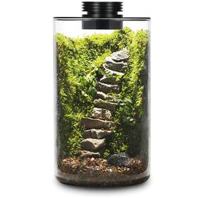 Arepk B0c24r9s22 Desktop Glass Plant Terrarium With Grow Light H 9.8 Inch D 5.9 For Succulent Mo