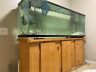 Ase11135 Seapora Gallon Height Display Specialty Fishtank