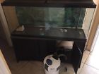 Atr800 Vepotek 55 Gallons Aquarium