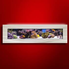 Aussie Aquariums 643950473922 New Original Aquarium -panoramic Brushed Aluminum Wall Mounted Fish Tank