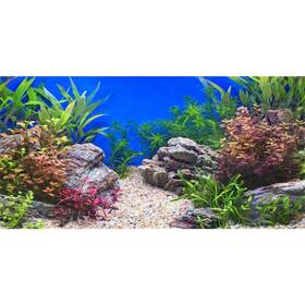 Awert 0.75x0.45nbk43236nam 30x18 Inches Aquatic Plant Fish Tank Background Stone River Bed And Lake
