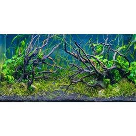 Awert 0.9x0.5nbk43251nam 36x20 Inches Tropical Fish Tank Background River Bed And Lake Aquatic Pla