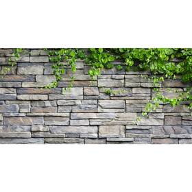 Awert 340533150289 Vinyl 48x24 Inches Stone Brick Wall Aquarium Background Rock Fish Tank