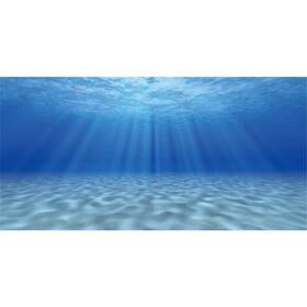 Awert B091kyzh61 Ocean Floor Undersea Aquarium Background - Sunshine Underwater Theme