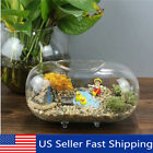Axf680705 Unbranded Oval Vase Flower Planter Pot Terrarium Stand Container Home