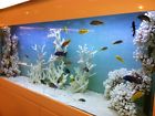 B-300 Beitals Aquariums Gallon Custom Inch Glass Aquarium Steel Stand And