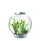 B001gcu0yw Biorb Classic Aquarium Best Acrylic Long Lasting With 689817273663