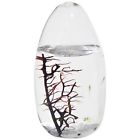 B005j0v33e Ecosphere Closed Ecosystem Aquatic 643377487663