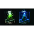 B00891i1q2 4value Aquarium Starter Kit 689003293192