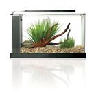B0089e5vlc Aquarium Kit 37 Led 643377640921 B0089e5vlc Aquarium Kit 37 Led 643377640921