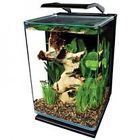 B00o8sztkq Aquarium Kit Portrait Design 643377640938