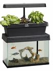 B011ixr6qs Springworks Aquaponic Garden Fish 689254670957
