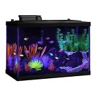 B013bxe1xo Glofish Tetra 20 Gallon B013bxe1xo Glofish Tetra 20 Gallon
