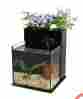 B0199esoog System Fin To Flower Aquaponics 2 Gallon Water Capacity