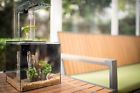 B01m1kci9g Ecoqube Aquarium Desktop Betta