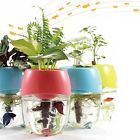 B01n441ybh Aquarium Garden Planter Fish 689254670964
