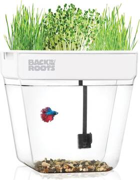 Back To The Roots 744110383447 Indoor Aquaponic Garden - 3 Gallon Self Watering Mess-free Pl
