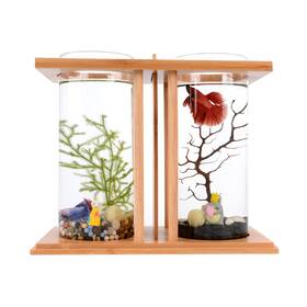 Bentfl 757582687692 Mini Fish Tank Small Aquarium Kit With Led Light Dual Glass Deskt