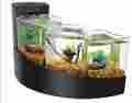 Betta-fish-tank-9979 Betta Fish Tank Aquarium Bowl