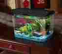 Big-fish-tank-6152 Fish Tank Big Filter 5 Gallon Aquarium Kit Led Light Freshwater Condo Starter 6338009896152