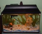 Big-fish-tanks-2926 Big Fish Tanks And 690284442926