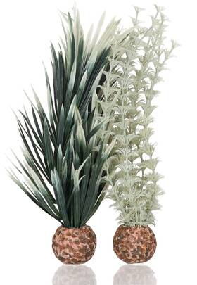 Biorb 55069 Small Ambulia Plant Set Colorful And Durable Aquarium Decorations Gra