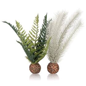 Biorb 55075 Small Thistle Fern Plant Set Colorful And Durable Aquarium Decorations