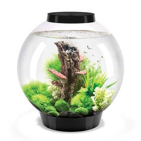 Biorb 822728720059 Classic 30 Acrylic 8-gallon Aquarium With White Led Lights Modern Tank