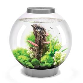 Biorb 822728720066 Classic 30 Acrylic 8-gallon Aquarium With White Led Lights Modern Tank For Ta