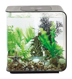 Biorb 822728720295 Flow 15 Acrylic 4-gallon Aquarium With White Led Lights Modern Compact