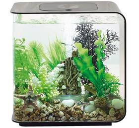 Biorb 822728720301 Flow 15 Acrylic 4-gallon Aquarium White Led Lights Modern Compact Black Biorb 822728720301 Flow 15 Acrylic 4-gallon Aquarium White Led Lights Modern Compact Black